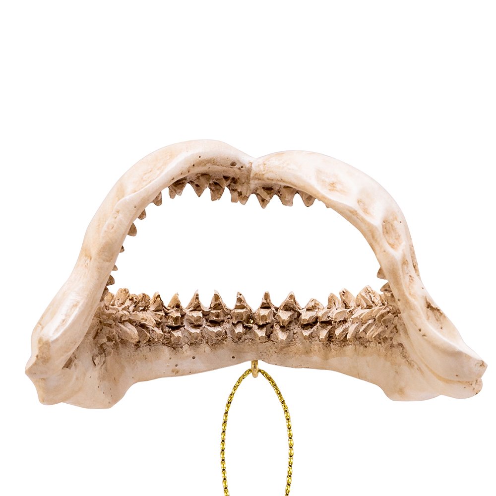 Amazon.com: Kurt Adler YAMA1649 2.375